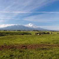 Call for Assessing and Improving Labour Conditions in the Farming Sector