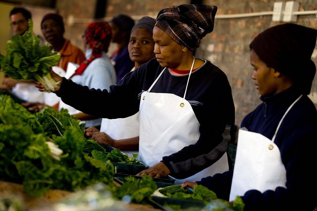 Call for Proposals for Investment Projects Focused on Agro-Processing in Northern Uganda