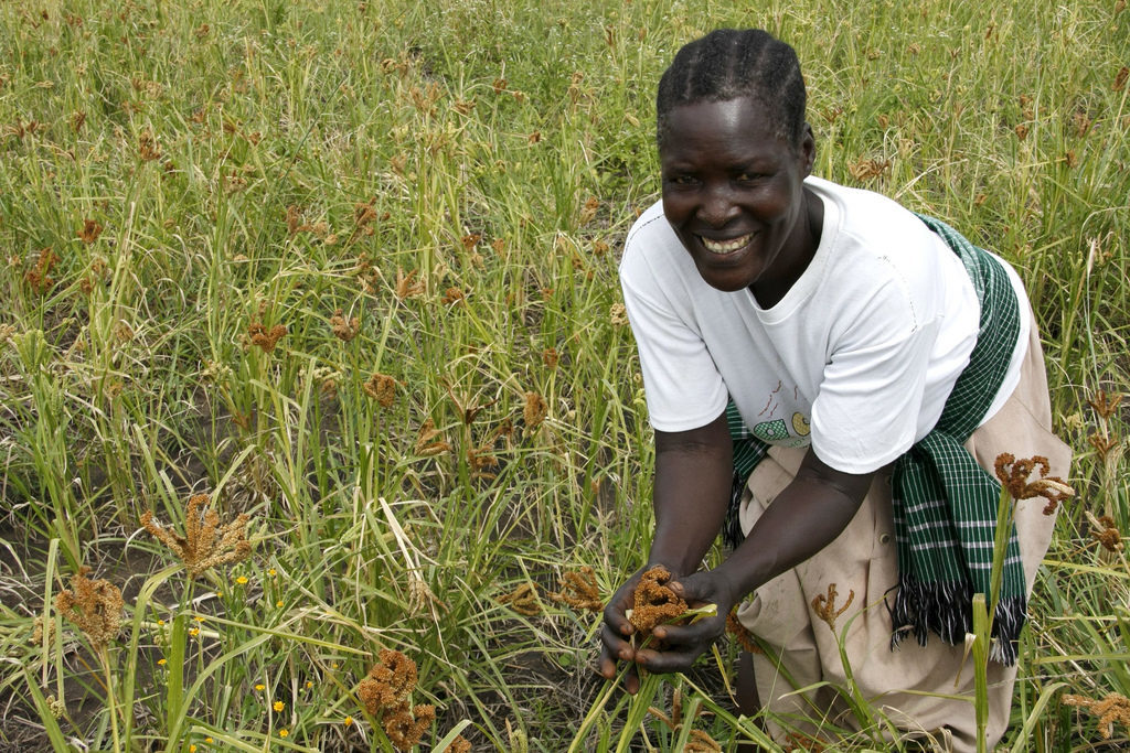 IDRC/ACIAR Call for Concept Notes: Cultivate Africa’s Future Phase 2 (CultiAF-2)