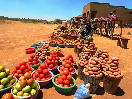 Local Food Purchase Assistance Program in the US