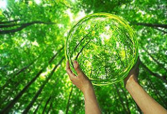 Wildlife Habitat Canada: Seeking Applications for Conservation Grant Program