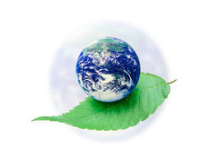 WHO Call for Applications: Collaborative Research on Health & Environment in the South East Asian and Western Pacific Regions