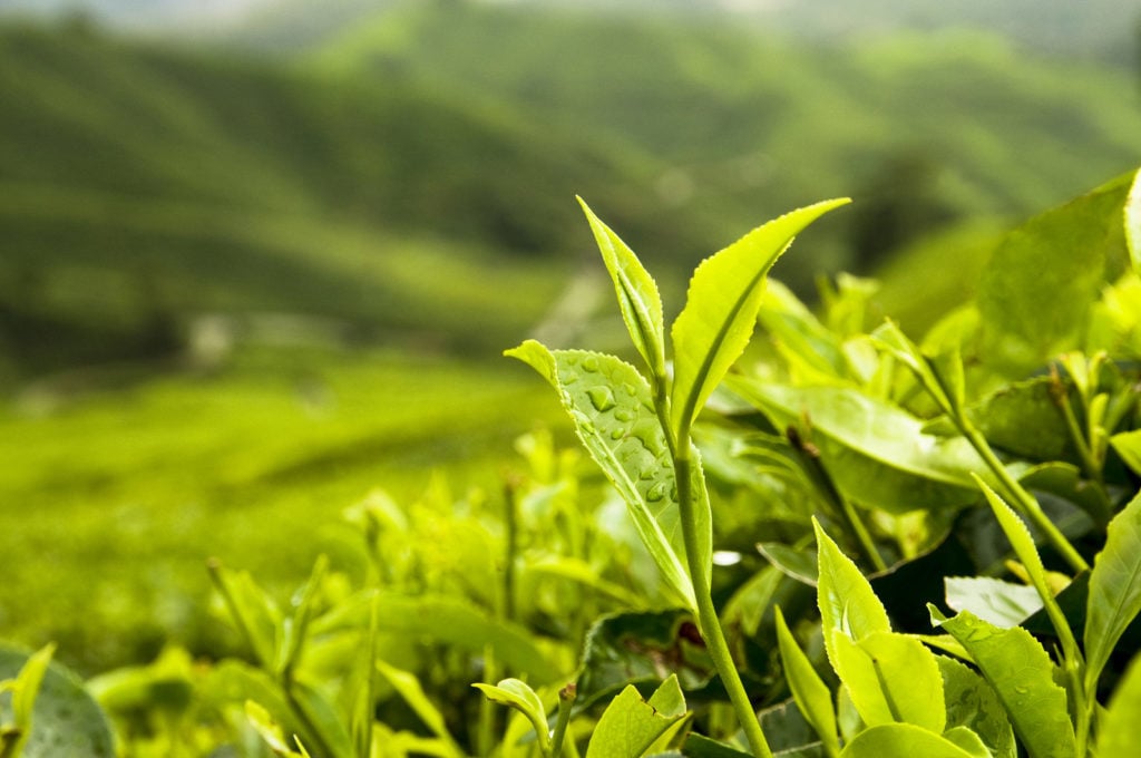 Apply for Imagine H2O Asia Program