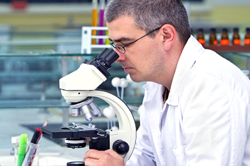 SNSF Project Funding: Enabling Researchers to Conduct Research Projects in Switzerland