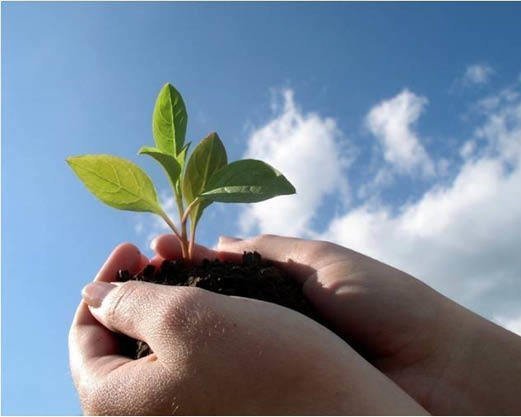 CSO-LA MAAP Restricted Call for Proposals – Suriname