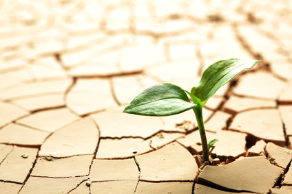 Wageningen UR CDI Course: Contemporary Approaches to Genetic Resources Conservation and Use (9 April -27 April 2018)
