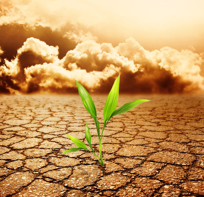 EIL Global Citizen Award Seed Fund Micro Grant Scheme