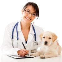 United States: 2021 Living Grant Program – Animals - fundsforNGOs United States: 2021 Living Grant Program – Animals