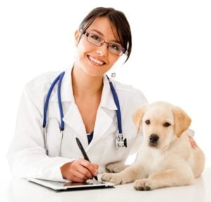 United States: 2021 Living Grant Program – Animals