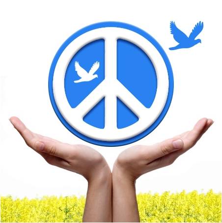 PeaceNexus Foundation: 2023 Call for Applications for the Western Balkans