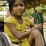 UNICEF Call for Proposals – Data Analysis Initiative