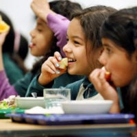 Fresh Food Explorers Program in Canada – Apply Now! - fundsforNGOs Fresh Food Explorers Program in Canada – Apply Now!