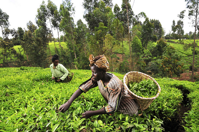 RAIN Challenge for Non-profits organisations