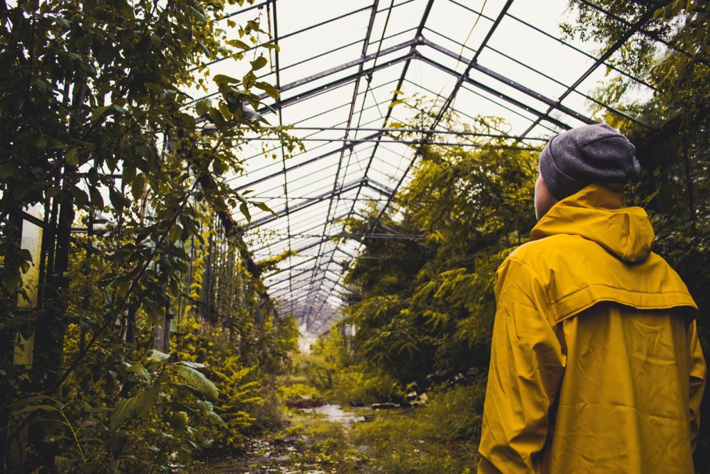 Agriculture Innovation Center Grant Program – US