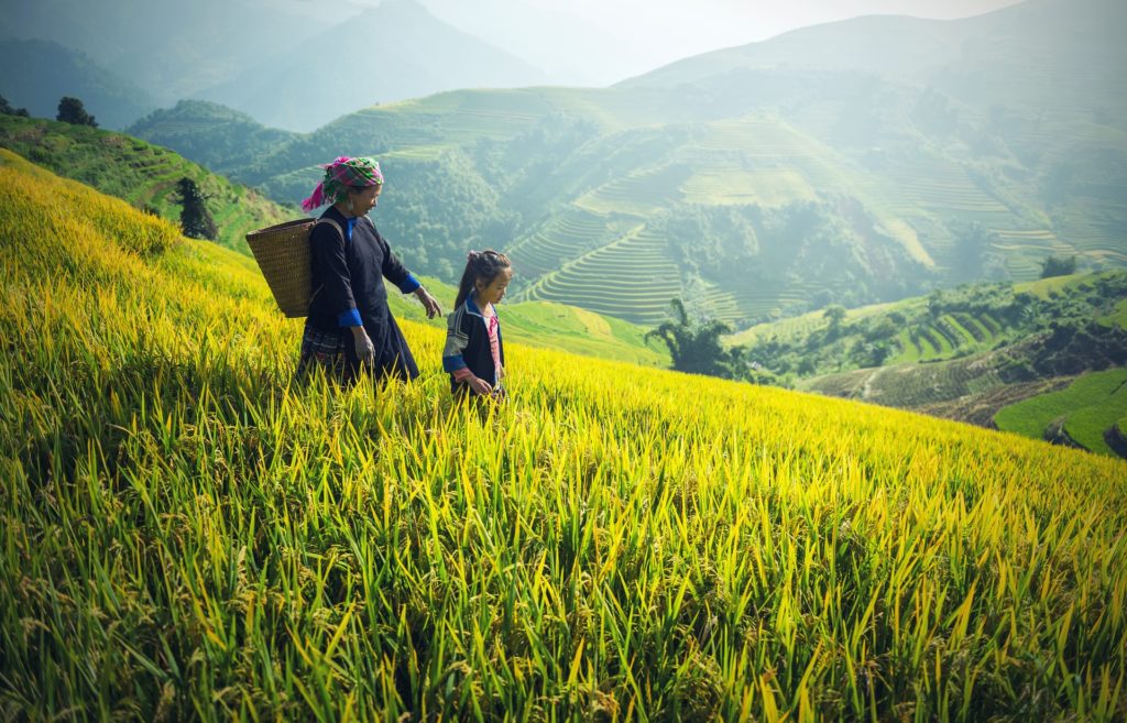 India: Call for Applications under NIDHI-Seed Support Program (Up to ₹50 lakh)