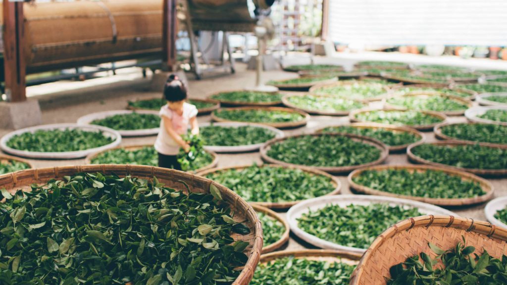 CFPs: Consolidating and Prioritising Nutrition Research in Myanmar