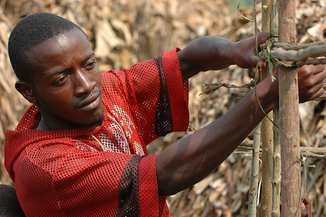 BUSAC Fund Phase III: Strengthening the Capacity of PSOs and FBOs in Ghana