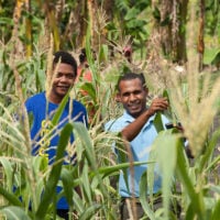 Atal New India Challenge: Agriculture – Millet