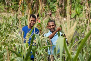 Atal New India Challenge: Agriculture – Millet