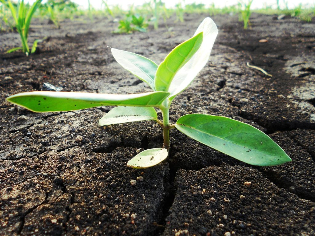USDA-NRCS: Seeking Applications for Conservation Innovation Grants Program