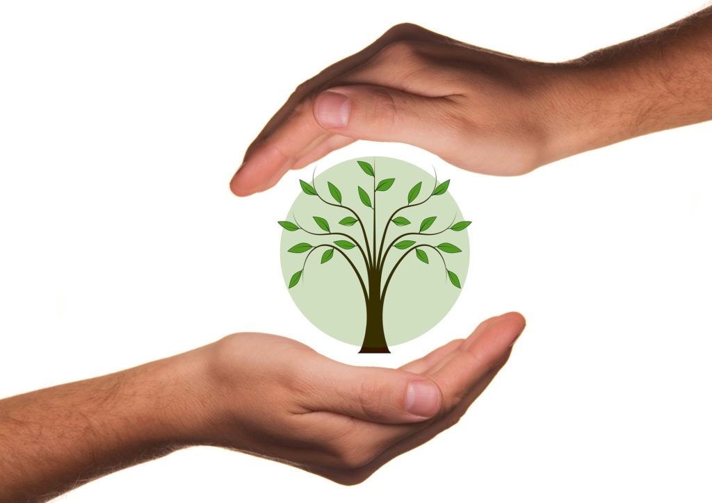 Dubai International Award for Best Practises to Improve the Environment!