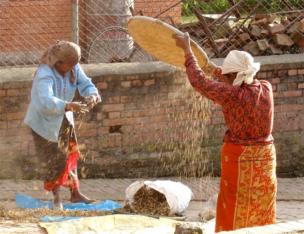 EU Funding Call for Strengthening CSO-LA and Media to Foster Growth through Economic Empowerment of Women and Youth with a Focus on Rural Areas