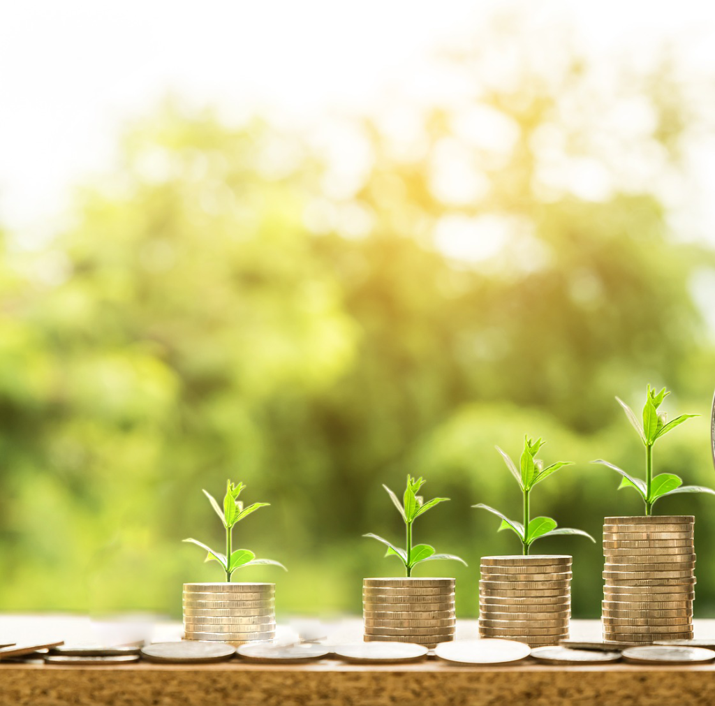 Apply for GreenBiz Programme in Kenya