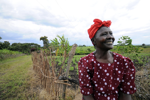Open Call for CLM - Routine Data Collection and Provider Feedback at PEPFAR Supported Sites (Kenya)