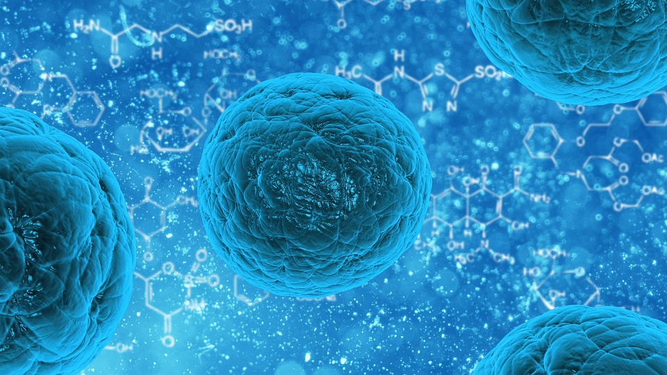 UK Government launches Research Competition to Combat Antimicrobial Resistance