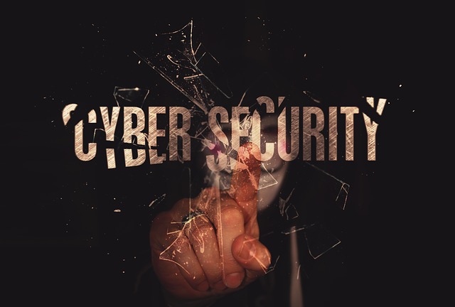 Cyber Personality of the Year Award in Belgium