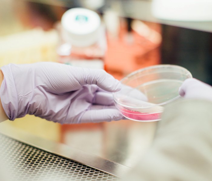 Call for Proposals: Fight Kids Cancer 2022-2023