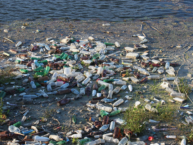 Applications Open for East Asia Summit Hackathon on Combatting Marine Plastic