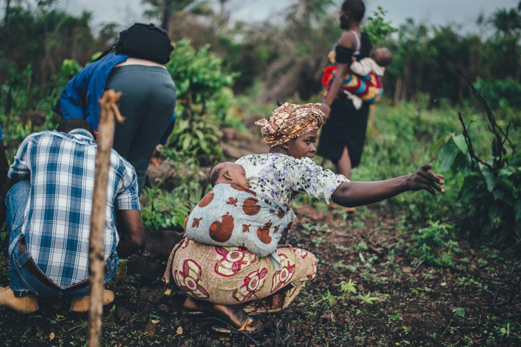 Pathfinder Award: Recognising Innovative Solutions for Protected and Conserved Areas