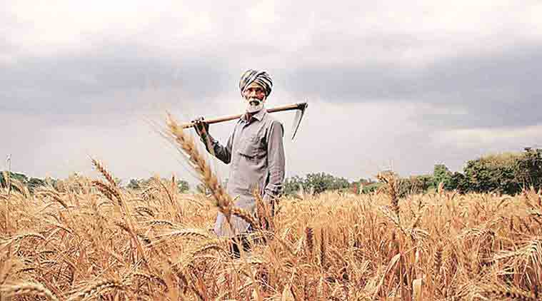 CJRF: Making Grants for Social Justice Approaches to Climate Change Adaptation