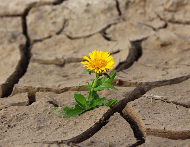Wildlife Preservation Canada launches Seed Grant Program