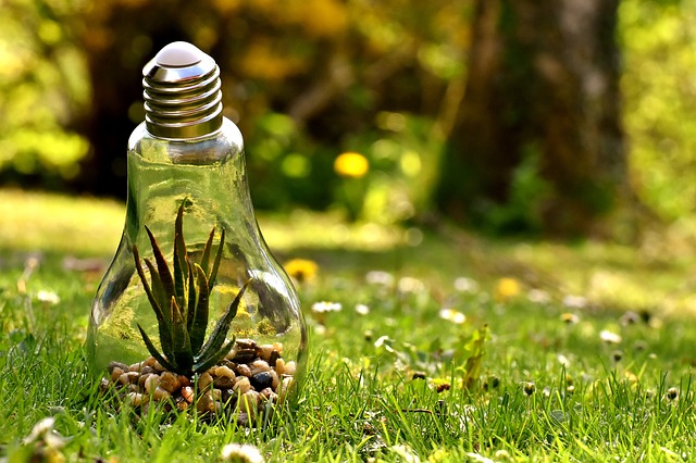 Australia: Environmental Grants and Partnerships