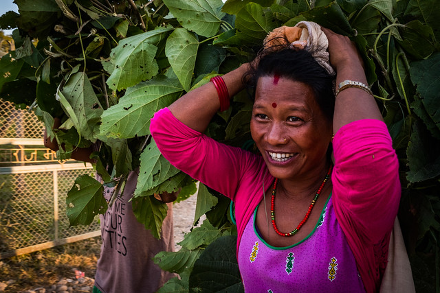 NOFO: DRL Advancing Freedom of Association for Workers in Nepal’s Informal Sector