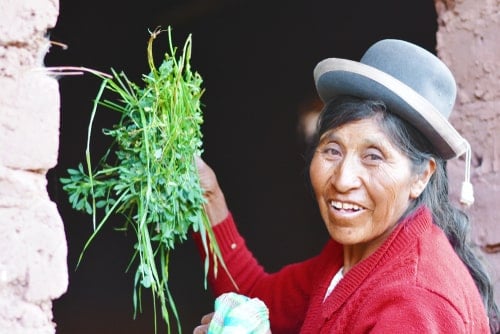 What is USAID's W-GDP Initiative Fund that recently increased its Funding to $100 million for New Partnerships?