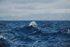 Grants to increase development of Ocean Science, Research, Technological Developments and Innovation