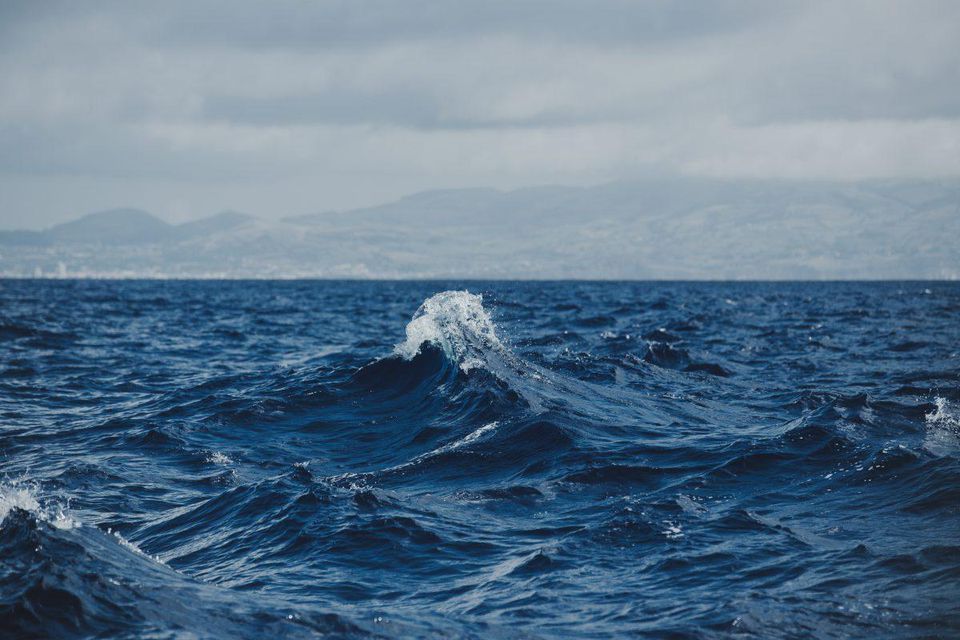 Grants to increase development of Ocean Science, Research, Technological Developments and Innovation