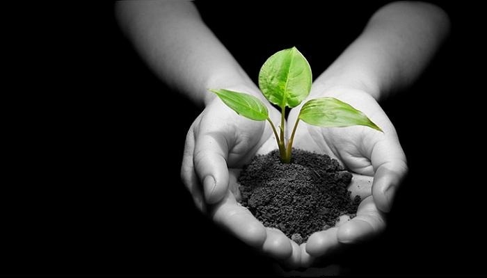 Canada: Apply Now for Creative Communities Annual Operating Grant Program