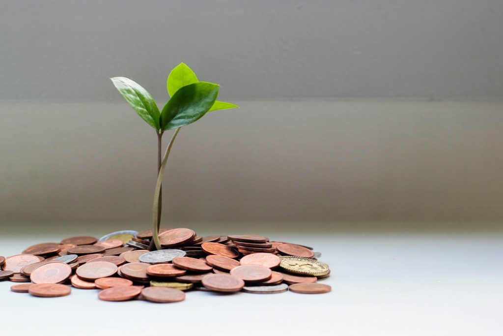 Request for Proposals: IFA-IFP Creative and Scholarly Projects in India
