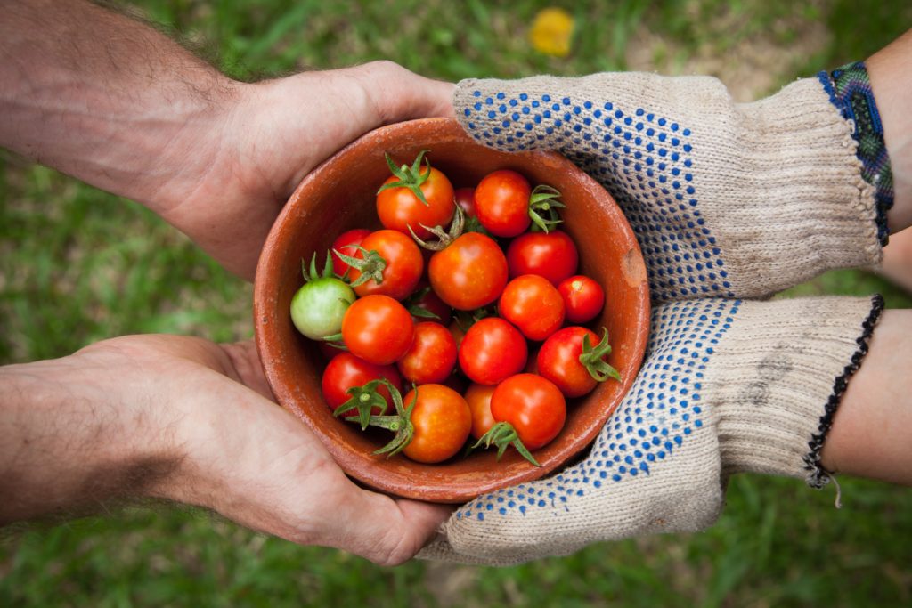 Up to £56,000 available for Farming Innovation Programme (UK)