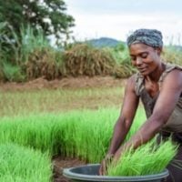 UNITAR launches Initiative to Accelerate Sustainable and Climate Resilient Livelihoods (Zambia) - fundsforNGOs UNITAR launches Initiative to Accelerate Sustainable and Climate Resilient Livelihoods (Zambia)