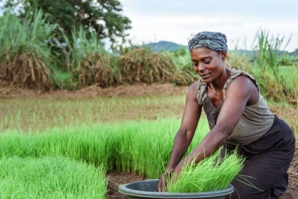 UNITAR launches Initiative to Accelerate Sustainable and Climate Resilient Livelihoods (Zambia)