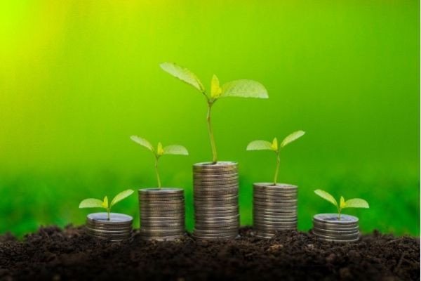 Eastern Caribbean Greenpreneurs Incubator Programme