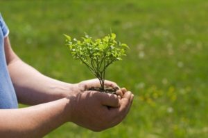 Novo Nordisk Foundation announces 2022 Project Grants