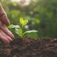Project Grants for Research within Plant Science, Agriculture and Food Biotechnology