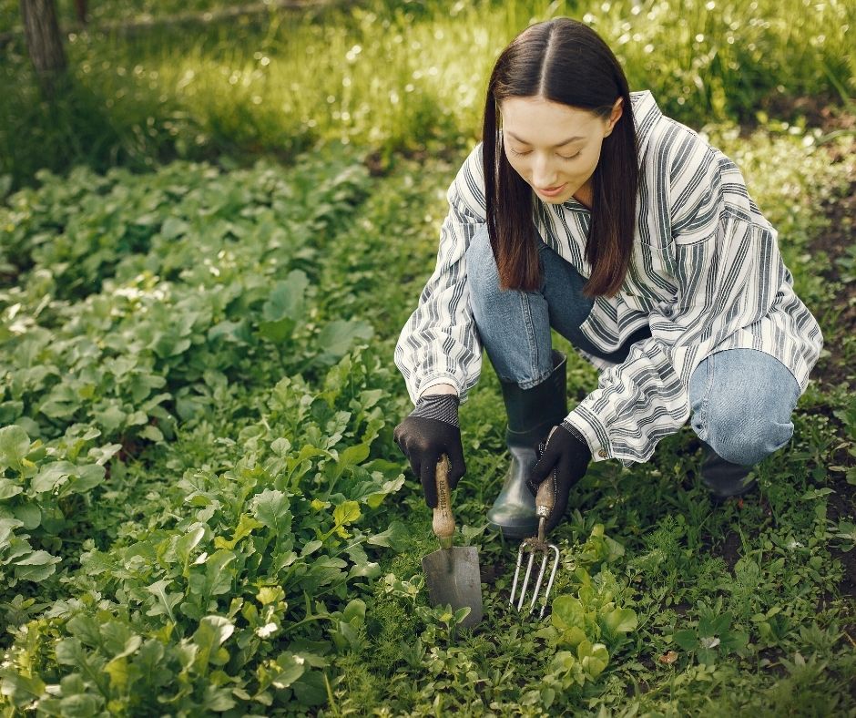 Request for Proposals: Multi Programmes for Promoting Agricultural Products