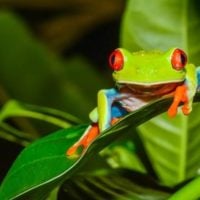 Nature Restoration Fund in the UK - fundsforNGOs Nature Restoration Fund in the UK